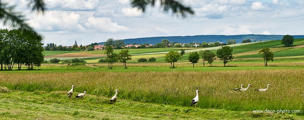 Gite L'Amarante Betschdorf Eksteriør bilde